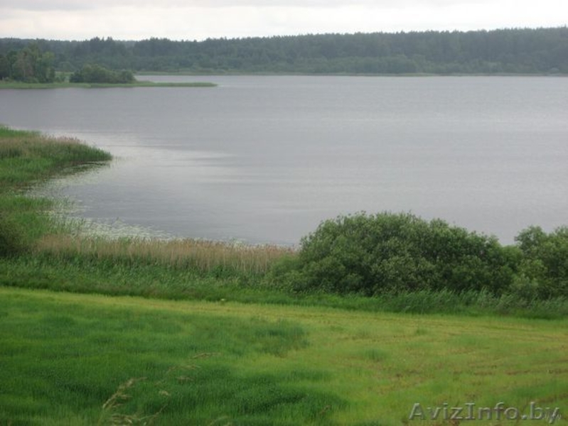 Озеро (УЧАСТОК) - Изображение #1, Объявление #229470