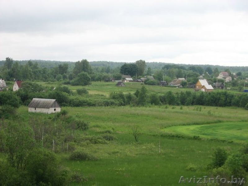 Озеро (УЧАСТОК) - Изображение #3, Объявление #229470