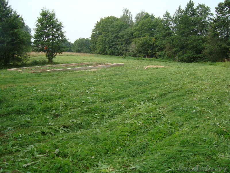 Продам з/у в Браславском районе - Изображение #1, Объявление #219509