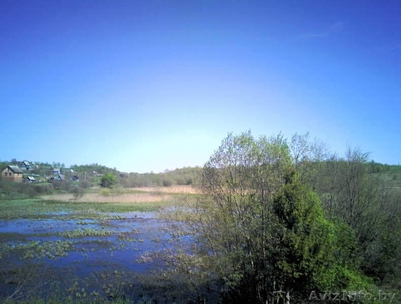 Продам дачу в самом живописном месте Беларуси, 15км от города - Изображение #5, Объявление #266076