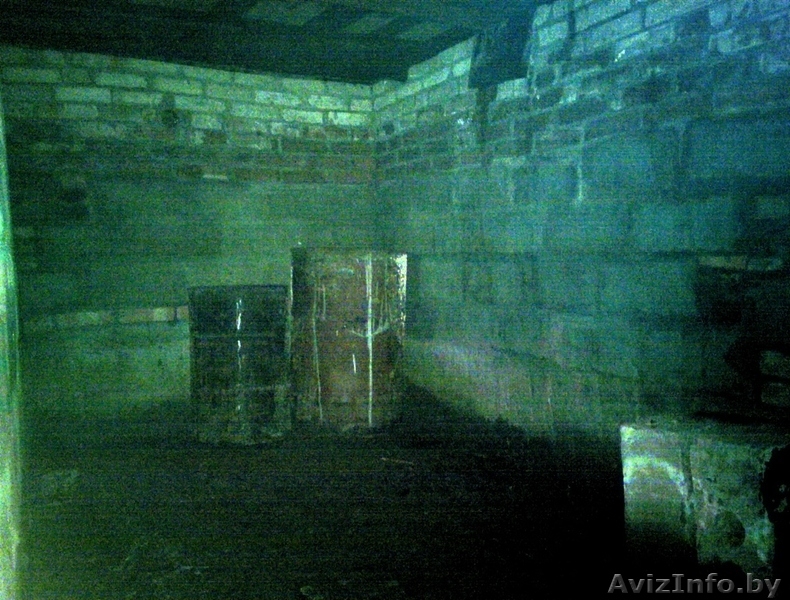 Продам дачу в самом живописном месте Беларуси, 15км от города - Изображение #4, Объявление #266076