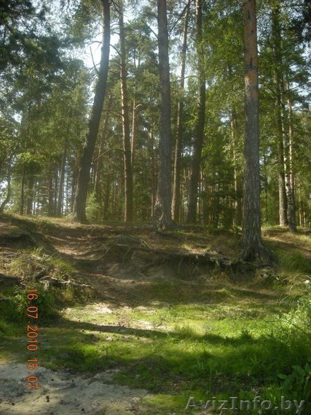 Срочно продам дом в Витебской обл., д. Межа - Изображение #1, Объявление #277720