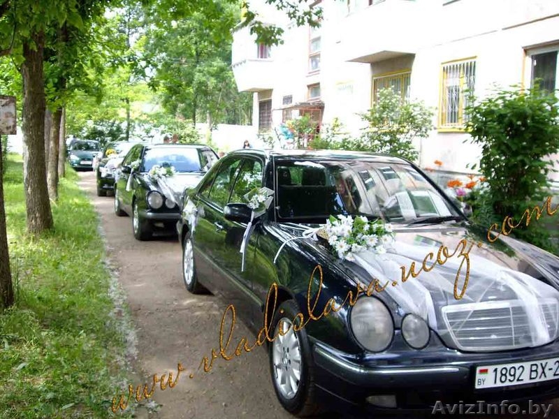 свадебное агентство "ВЛАДИСЛАВА" - Изображение #9, Объявление #144615