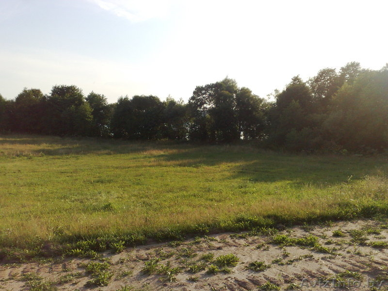 Участок 30 соток в гос.заказнике "Лосвидо" первая береговая линия!!! - Изображение #3, Объявление #187548