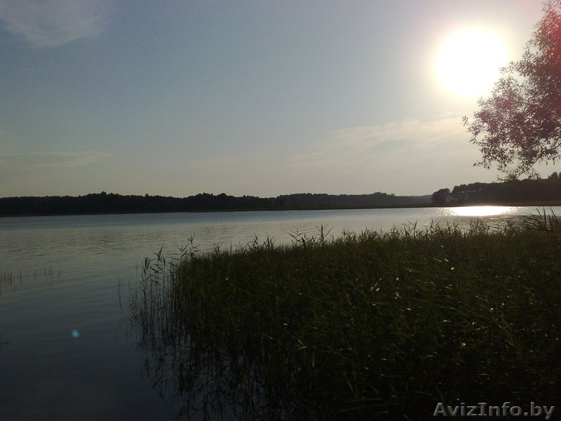 Участок 30 соток в гос.заказнике "Лосвидо" первая береговая линия!!! - Изображение #2, Объявление #187548