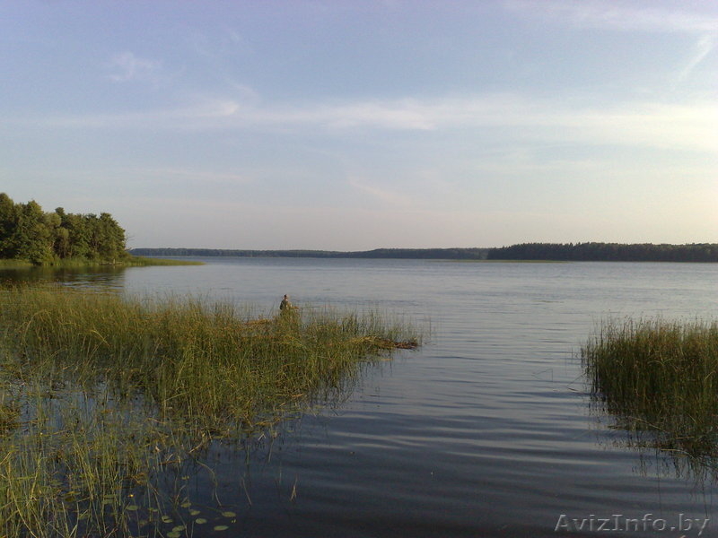 Участок 30 соток в гос.заказнике "Лосвидо" первая береговая линия!!! - Изображение #1, Объявление #187548