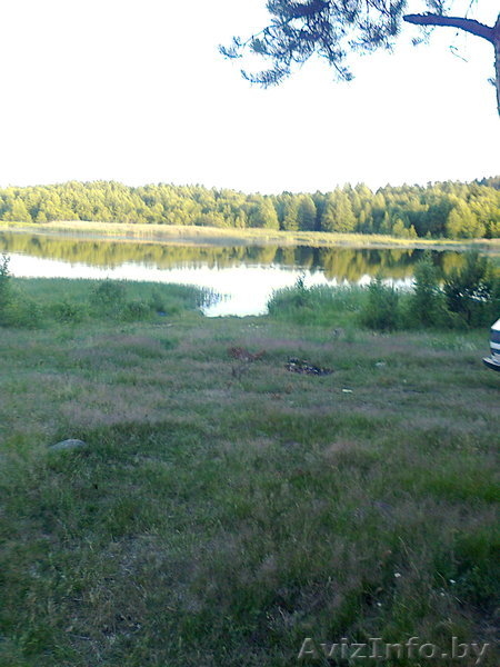 ПРОДАМ УЧАСТОК В ДЕРЕВНЕ В ВИТЕБСКОМ НАПРАВЛЕНИИ - Изображение #10, Объявление #313284