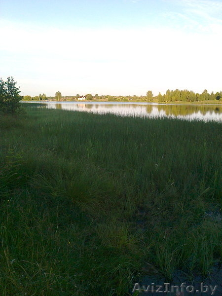 ПРОДАМ УЧАСТОК В ДЕРЕВНЕ В ВИТЕБСКОМ НАПРАВЛЕНИИ - Изображение #8, Объявление #313284