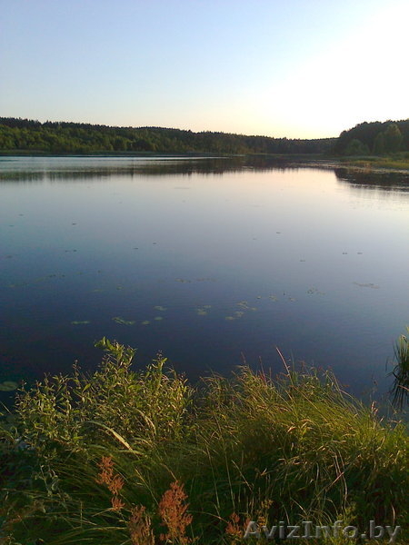 ПРОДАМ УЧАСТОК В ДЕРЕВНЕ В ВИТЕБСКОМ НАПРАВЛЕНИИ - Изображение #7, Объявление #313284