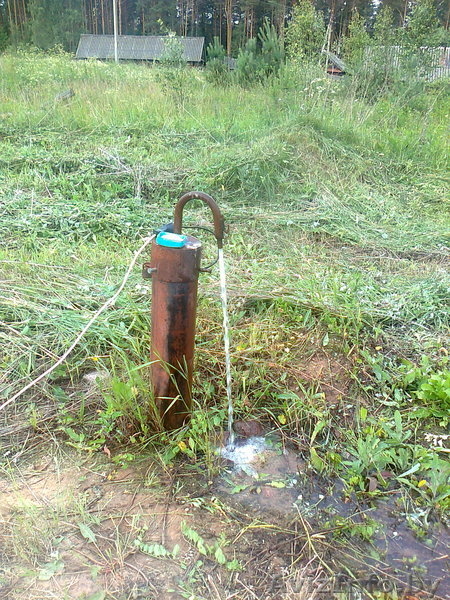 ПРОДАМ УЧАСТОК В ДЕРЕВНЕ В ВИТЕБСКОМ НАПРАВЛЕНИИ - Изображение #5, Объявление #313284