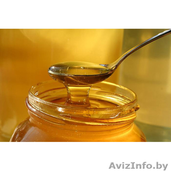 Крахмалопродукты - Изображение #1, Объявление #388445