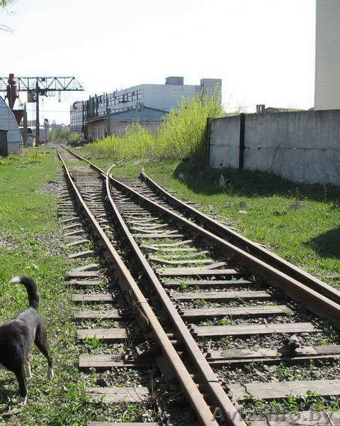 Складское помещение ОАО "Витебскмебель" 2000 м.кв. - Изображение #3, Объявление #435742