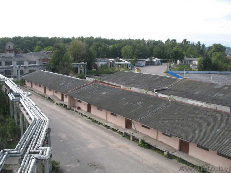 Складское помещение ОАО "Витебскмебель" 2000 м.кв. - Изображение #5, Объявление #435742