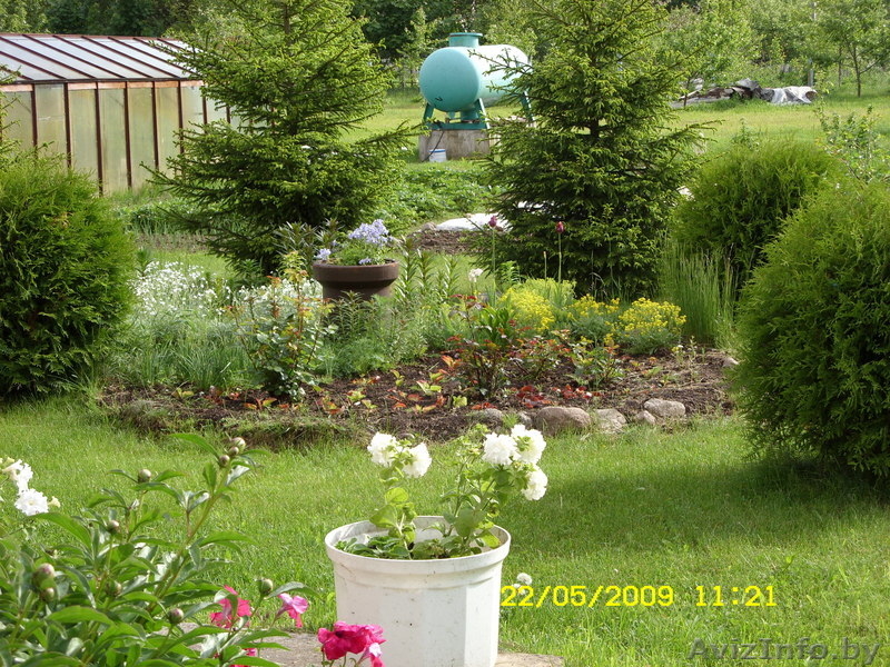 продажа дом-дача - Изображение #3, Объявление #629666