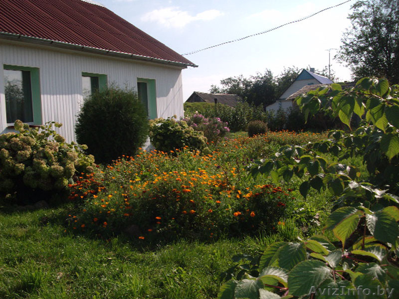 Усадьба \"Замошье\" Браславские озера - Изображение #1, Объявление #709385