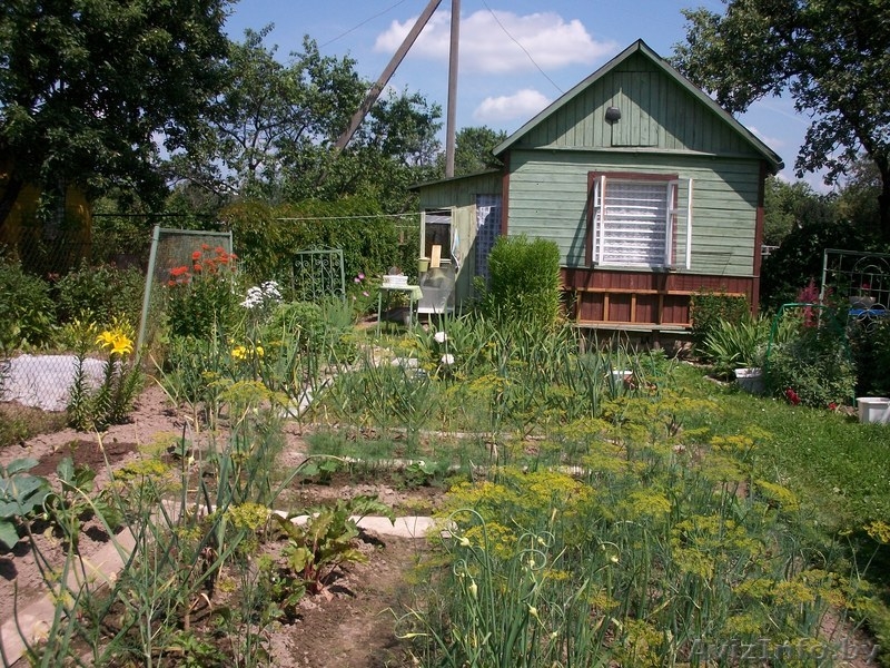 Продам дачу в черте города - Изображение #4, Объявление #734593