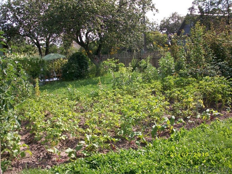 Продам дачу в черте города - Изображение #1, Объявление #734593