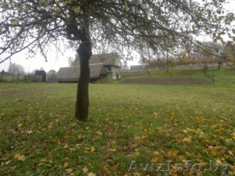 Дом в районном центре - Изображение #6, Объявление #849301