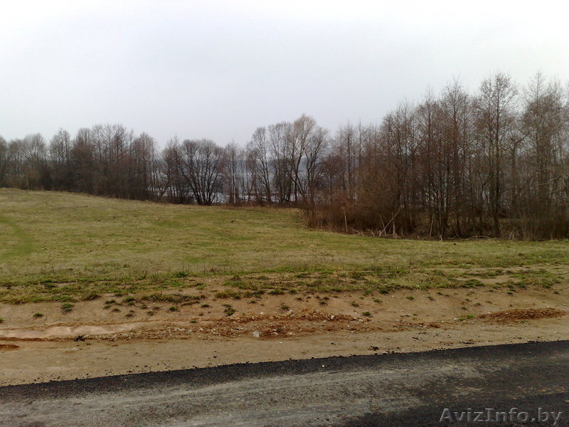 Участок 30 соток в гос.заказнике "Лосвидо" первая береговая линия!!! - Изображение #6, Объявление #187548