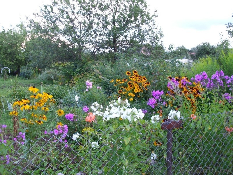 Продам приватизированную дачу (Дрюково) 15 км от города.  - Изображение #1, Объявление #880178