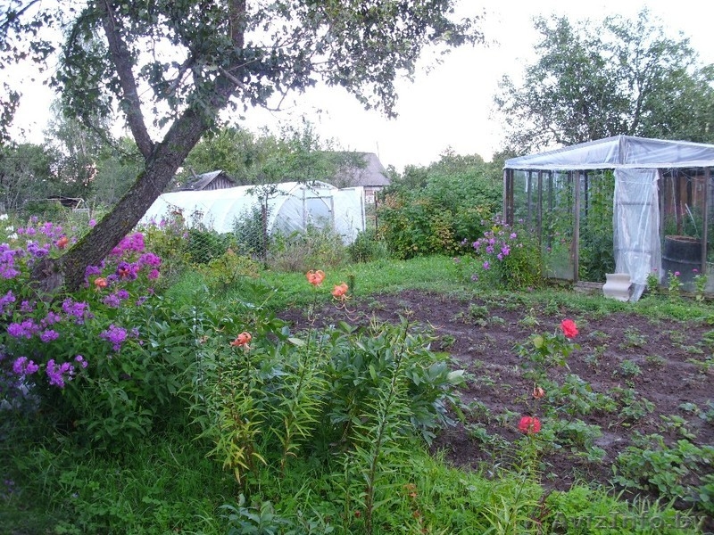 Продам приватизированную дачу (Дрюково) 15 км от города.  - Изображение #3, Объявление #880178