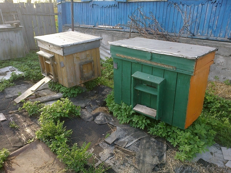 домики для пчёл - Изображение #3, Объявление #896910