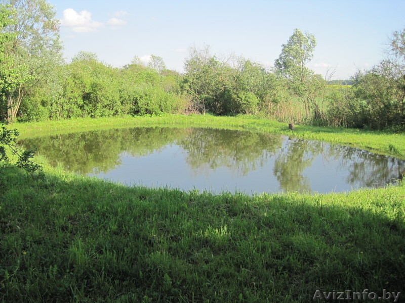 коттедж  с   отличным  участком  в  г.Городок - Изображение #5, Объявление #829610