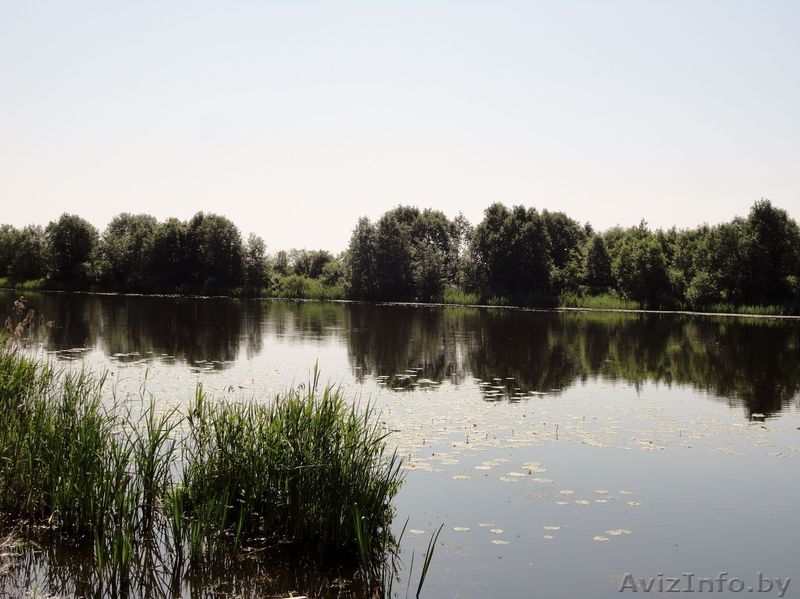 Загородный дом. 1-я береговая линия. Готовый. Витебск. - Изображение #7, Объявление #910445