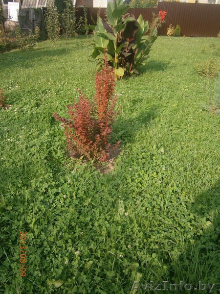 Дом   2 уровня  - Изображение #8, Объявление #941502