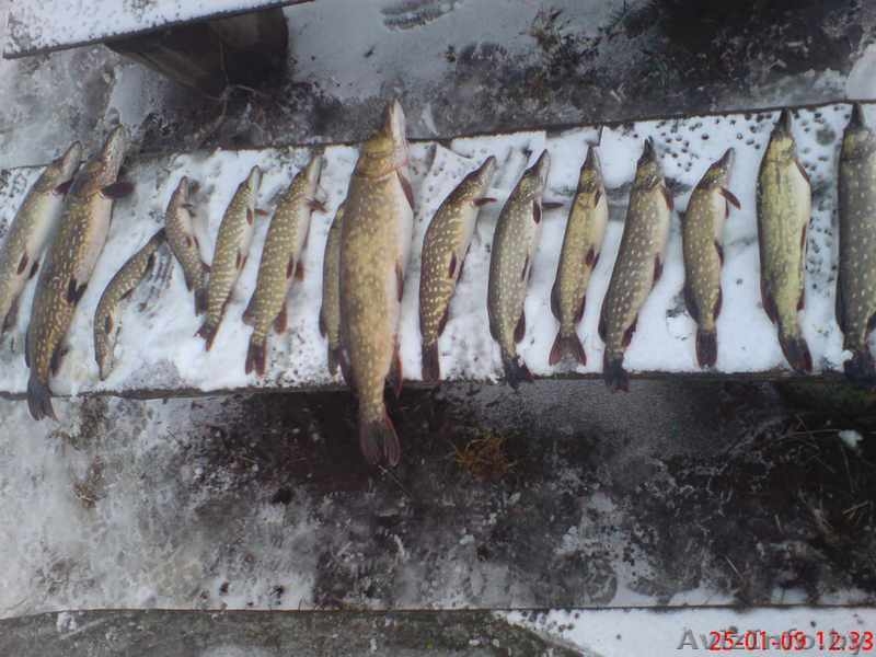 Дом в Браславком районе! - Изображение #5, Объявление #1022619