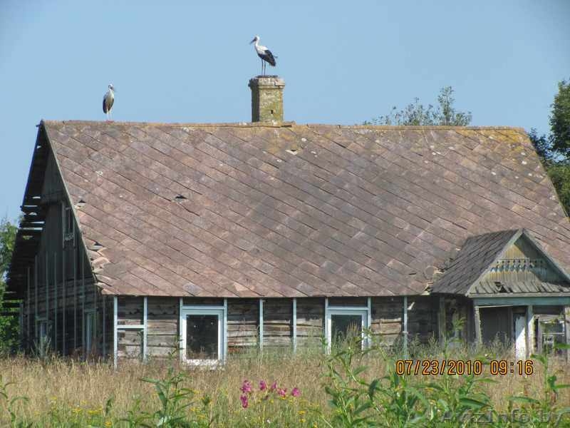 Дом в Браславком районе! - Изображение #4, Объявление #1022619