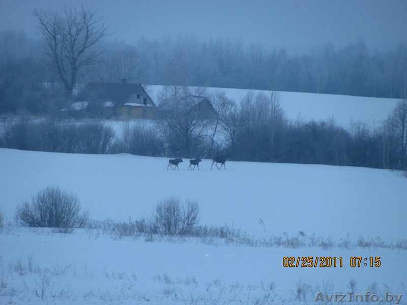 Дом в Браславком районе! - Изображение #6, Объявление #1022619