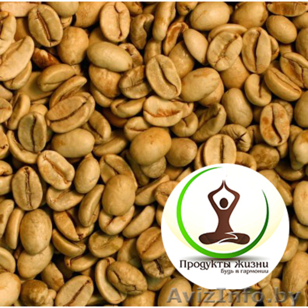 Зеленый кофе. Скидки 50%. Бесплатная доставка по Беларуси! - Изображение #1, Объявление #995355