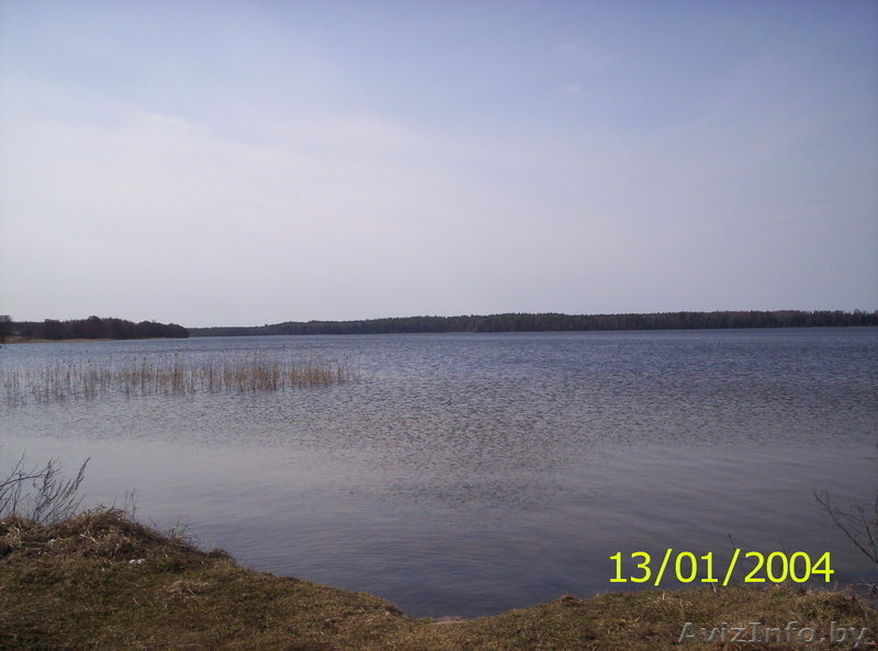 Продам дачу/участок в Сурмино г.п. Езерище - Изображение #9, Объявление #1048757