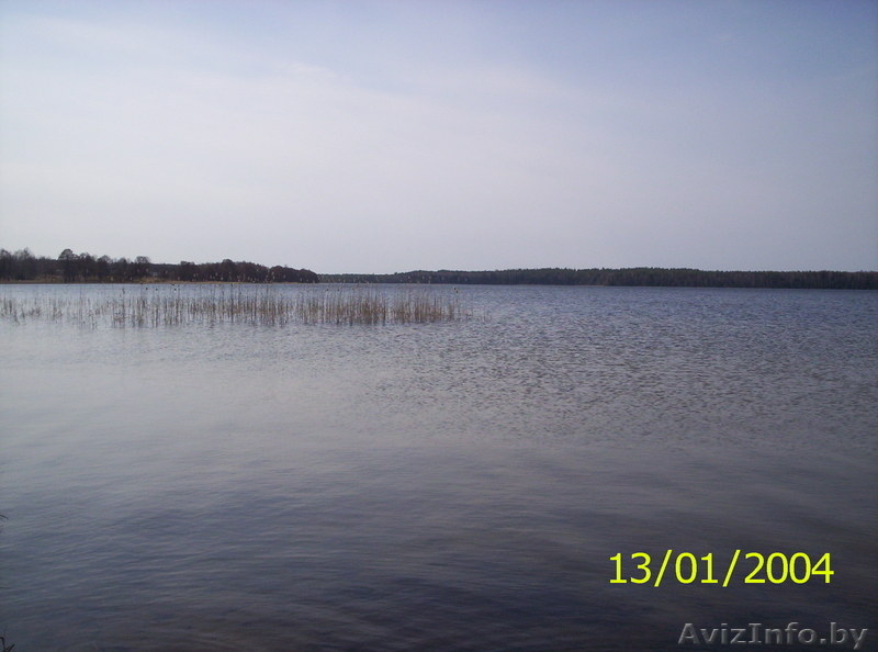 Продам дачу/участок в Сурмино г.п. Езерище - Изображение #10, Объявление #1048757