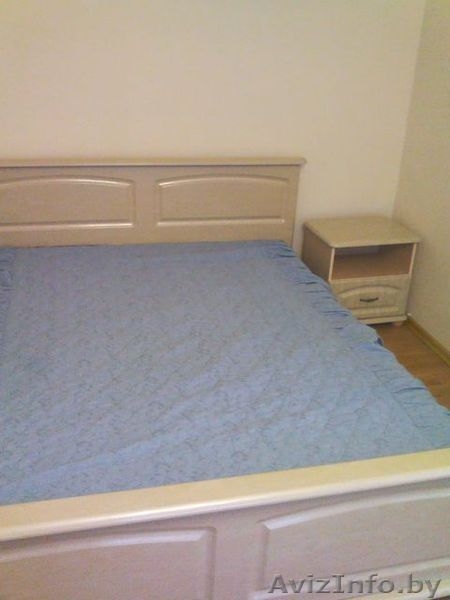 Уютная 1-я квартира на сутки, часы и недели на Московском проспекте - Изображение #3, Объявление #1077650