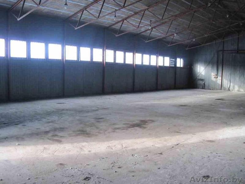 Предлагаю в аренду склад срочно - Изображение #3, Объявление #1139672