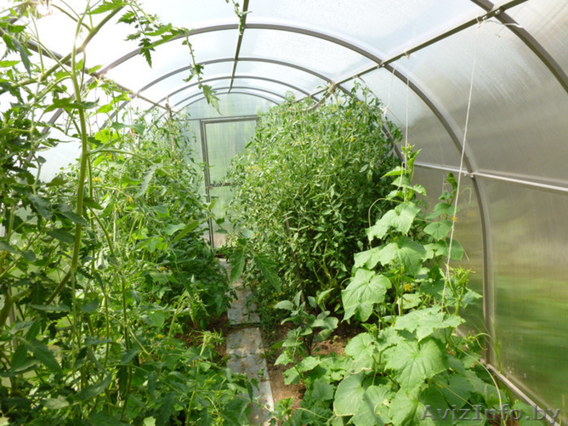 Теплица «Сибирская АвтоИнтеллект XXL» 10м Сверхпрочная - Изображение #2, Объявление #1183726