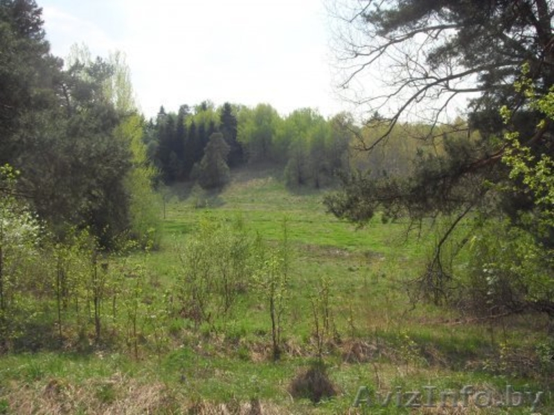 Продажа дома на хуторе в Поставской обл.  - Изображение #8, Объявление #1199433