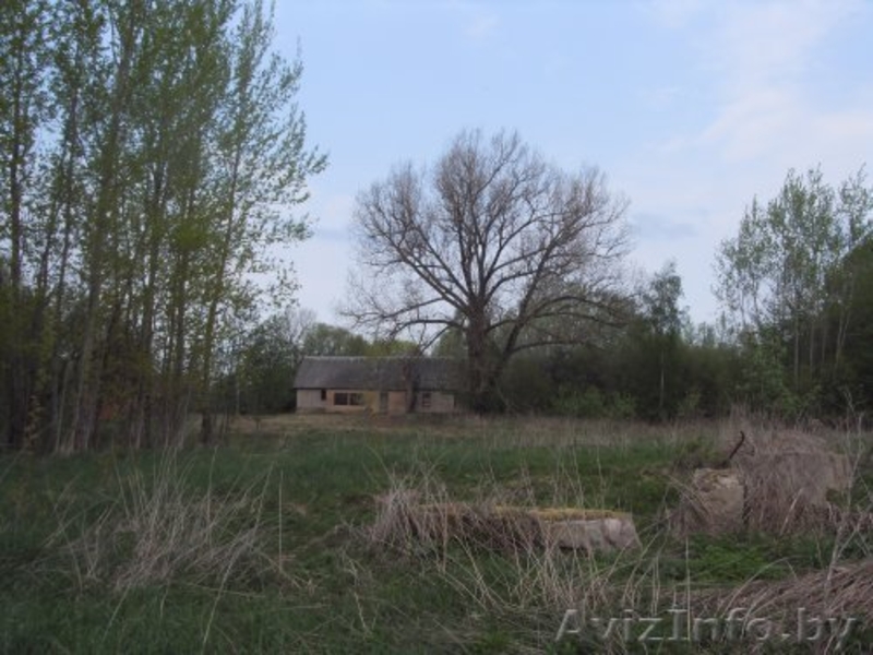 Продажа дома на хуторе в Поставской обл.  - Изображение #3, Объявление #1199433