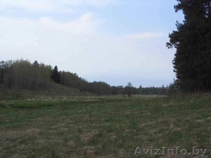 Продажа дома на хуторе в Поставской обл.  - Изображение #5, Объявление #1199433