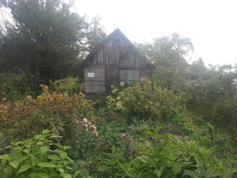 Приватизированный участок в дачном кооперативе - Изображение #1, Объявление #1215882