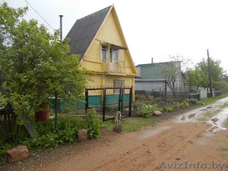 Продам дачу в Витебской области - Изображение #2, Объявление #1270321