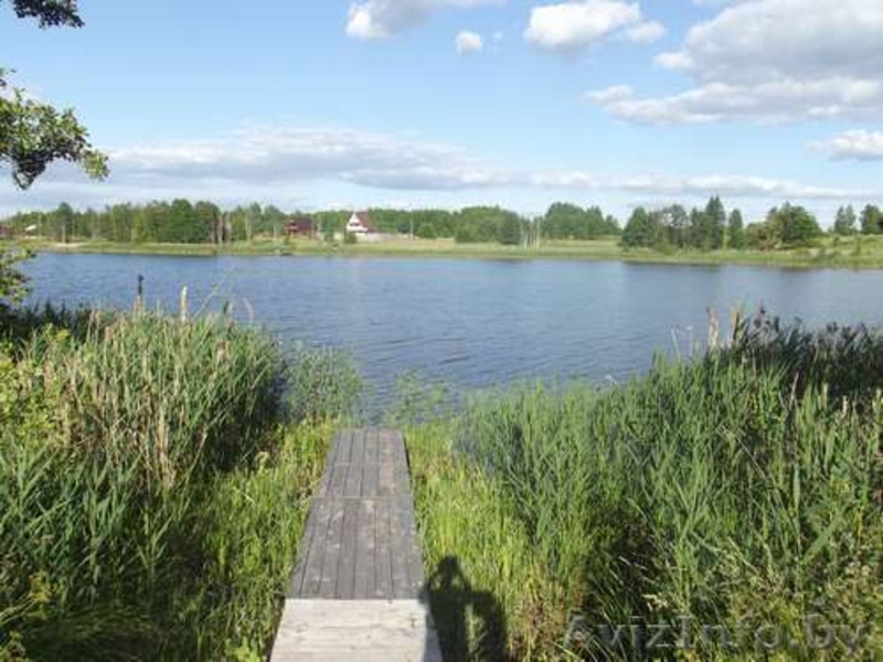 Сдам дачу на берегу озера в Поставском районе. - Изображение #2, Объявление #1283470