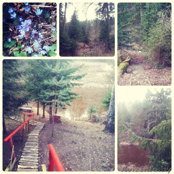 Дом с баней и каминами на сутки . для компаний - Изображение #7, Объявление #1454384