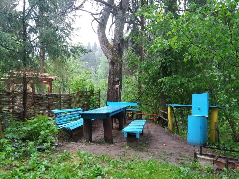 Дом с баней и каминами на сутки . для компаний - Изображение #3, Объявление #1454384