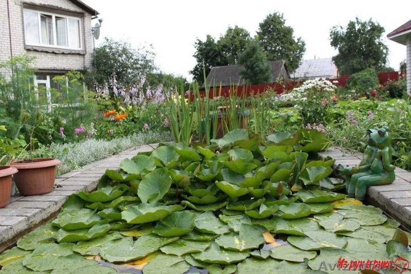 Большой уютный дом со всеми удобствами рядом с Витебском - Изображение #5, Объявление #1493392