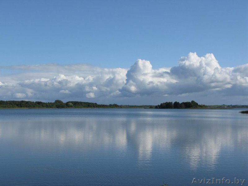 Усадьба Дривяты! Продажа! Браславские озера! - Изображение #7, Объявление #1498158