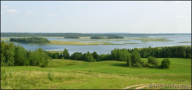 Усадьба Дривяты! Продажа! Браславские озера! - Изображение #8, Объявление #1498158