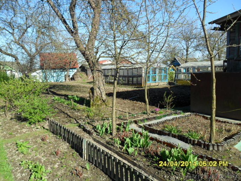 Продам дачу, Лучёса - Изображение #2, Объявление #1502508